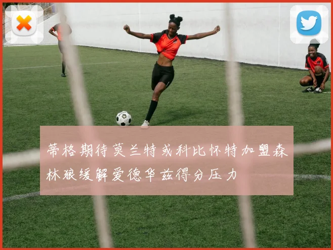 蒂格期待莫兰特或科比怀特加盟森林狼缓解爱德华兹得分压力