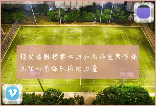 锡安感慨穆雷回归如兄弟重聚伤痛无阻心系球队团结力量