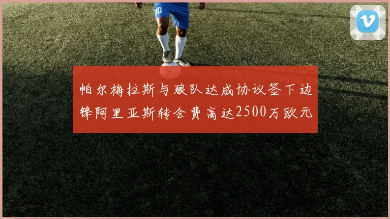 帕尔梅拉斯与狼队达成协议签下边锋阿里亚斯转会费高达2500万欧元