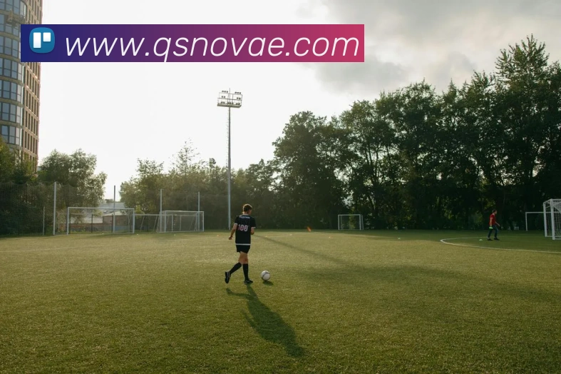 球速平台生态图